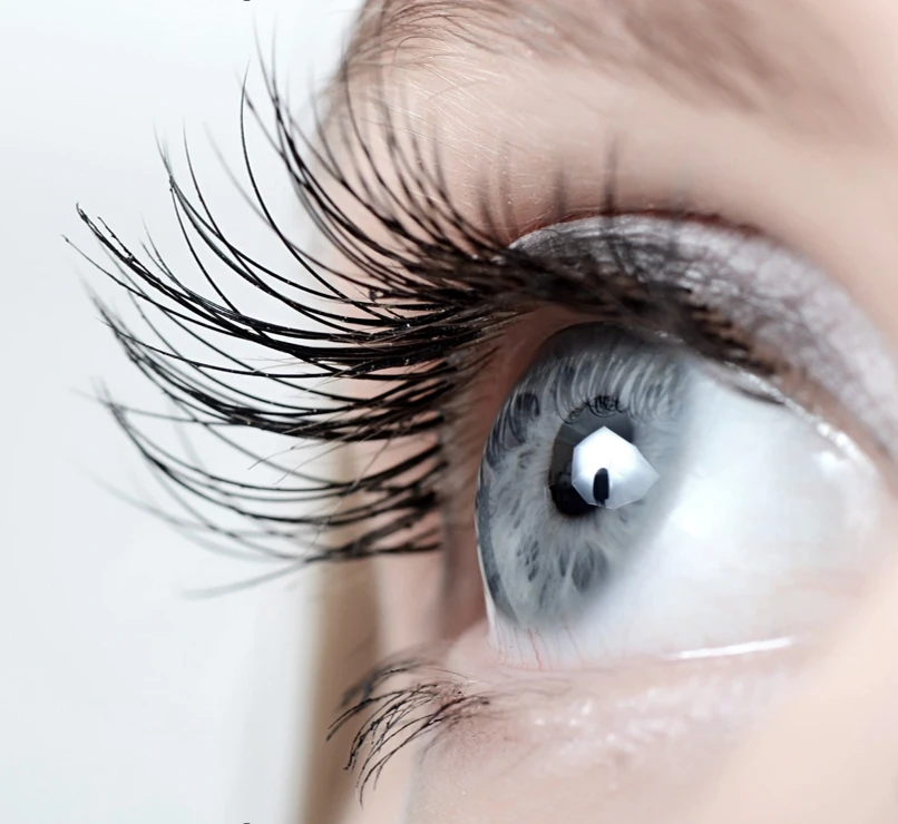 Close-up of an eye with long lashes, looking ahead